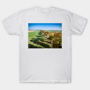 Alley of autumn trees among green fields in countryside T-Shirt